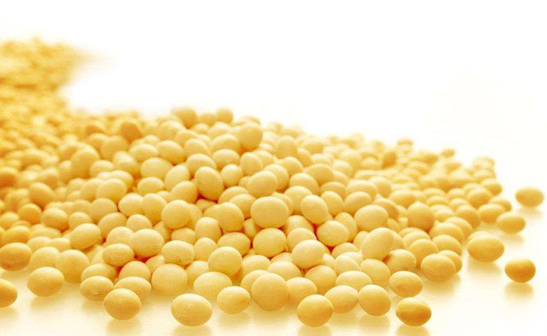 大豆卵磷脂有哪些功效和作用