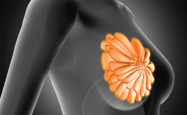 乳腺增生是什么原因引起的
